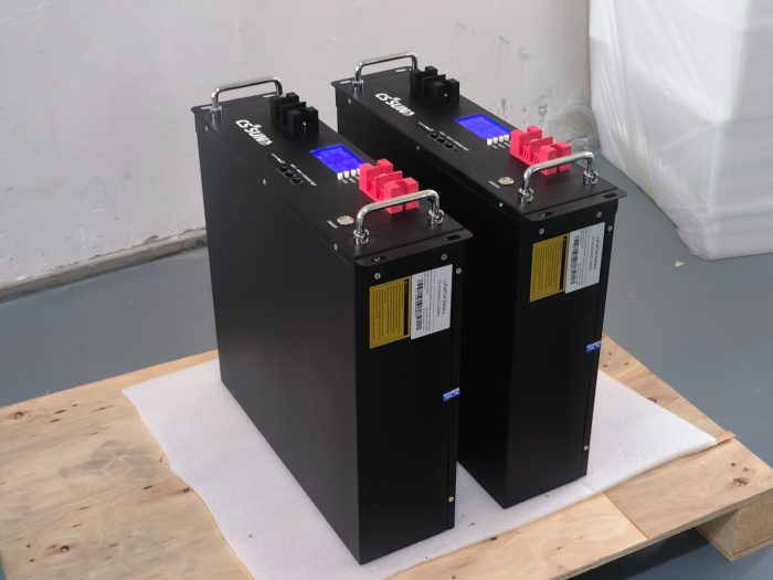 CS SUN LPR48V100H 51.2V100Ah Rack LiFePO4 battery - imagine 2