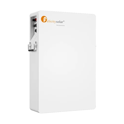Felicitysolar LPBA48100 OL