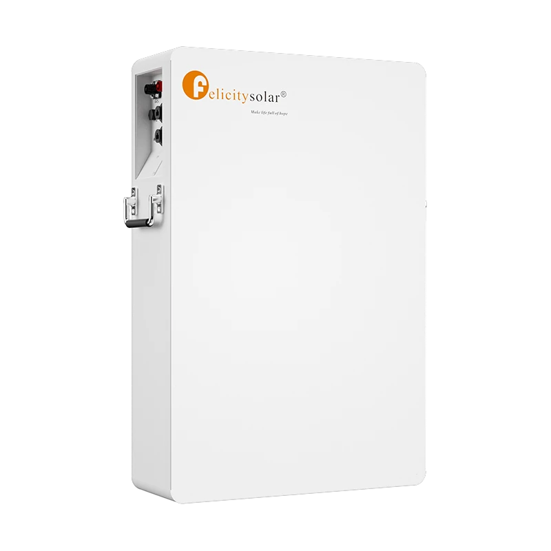 Felicitysolar LPBA48100 OL